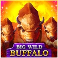 game logo by Belatra Games on superbetcasino.eu.com